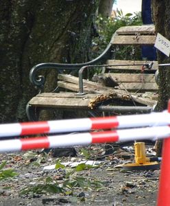 Eksplozje w parku w Japonii