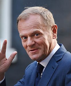 Czy Tusk powinien wrócić? Oto wyniki sondażu