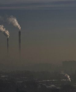Łódź walczy ze smogiem. Od 10 stycznia obowiązuje zakaz grillowania na balkonach i tarasach