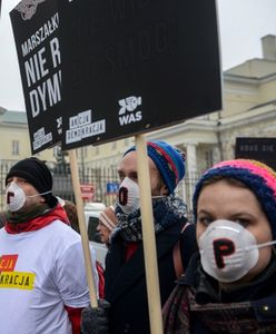 Ministerstwo Środowiska znalazło odpowiedzialnych za smog