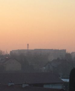 Smog w Polsce. Szyszko zapowiada system wsparcia dla samorządów na rzecz czystego powietrza