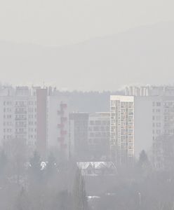 Smog w Rybniku. Zajęcia w szkołach zostaną wznowione w czwartek