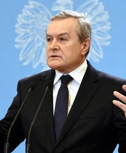 Wicepremier Gliński przeciw wycince drzew. Resort kultury: całkowita ochrona zieleni na terenach zabytkowych