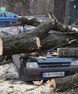 Po wichurach i ulewach ponad 1680 interwencji strażaków
