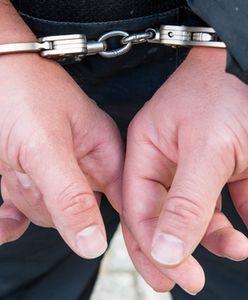 CBŚP zatrzymało sześć osób podejrzanych o wielomilionowe wyłudzenia kredytów