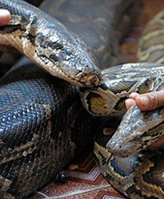 Niezwykłe małżeństwo