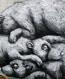 Nowy Świat od tyłu