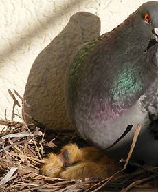 Rozkwitająca przyroda