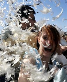 Dzień Walki na Poduszki