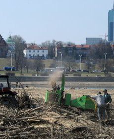 Tu na razie jest ściernisko...