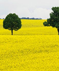 Europa szykuje się na "tropiki"