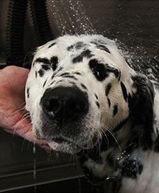 Jak minął tydzień w Polsce