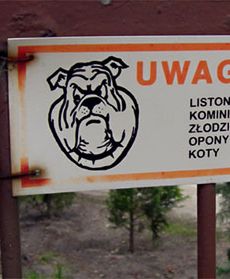 Strzeż się psa!