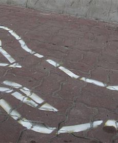 Dopalacze - wypalacze