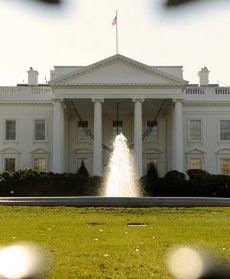 Pikantne fragmenty z przecieków WikiLeaks