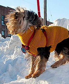 Kompletny chaos w Nowym Jorku