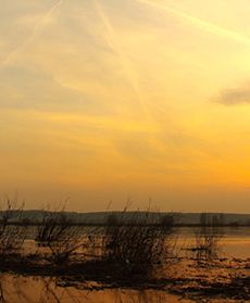 Gdzie jesteś wiosno?