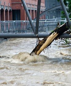 W Bielsku - Białej trwa powódź