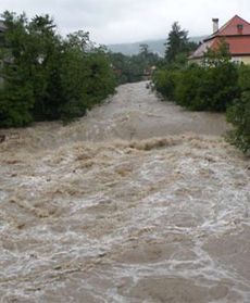 Hektary zalanych terenów