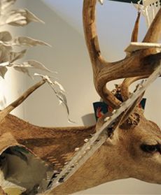 Zwierzęta zmienione w sztukę