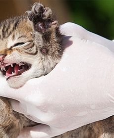 Jak minął tydzień w Polsce