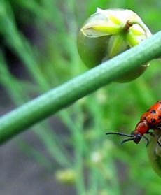 Wspaniały czas wakacji