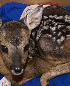 Jak minął tydzień w Polsce