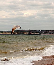 Wielka Brytania okiem internauty