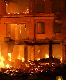 Zamieszki w brytyjskiej stolicy