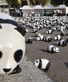 50. rocznica powstania WWF