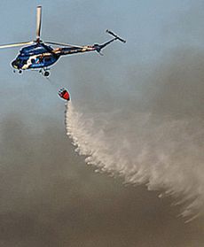 Pożar lasu na Śląsku - zdjęcia Internauty