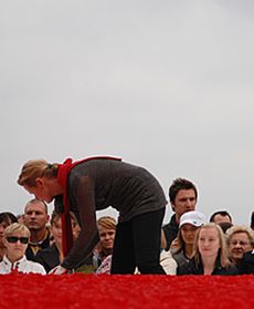 Miasto pełne kwiatów