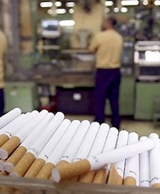 Tak się robi papierosy na Kubie