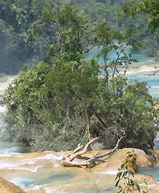 Kaskady Agua Azul