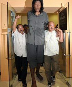 Wielkolud z Indonezji