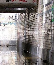 Kolej dla nieustraszonych