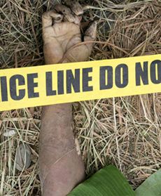 Śmiertelne ofiary walki wyborczej