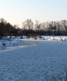 Zmrożona Pilica