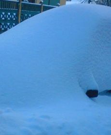 Zgadnij, co jest pod śniegiem