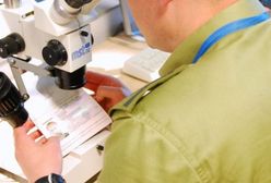 Na poznańskim lotnisku zatrzymano Albańczyka z fałszywymi dokumentami