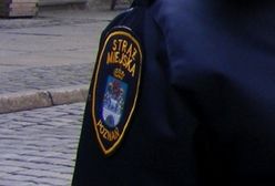 Strażnicy miejscy sprawdzają, czym poznaniacy palą w piecach