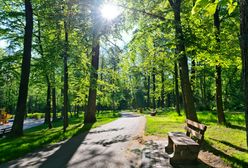 Co dalej z gdyńskim parkiem przy ul. Piłsudskiego?