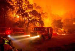 Ogromne pożary w Kalifornii. Ewakuowano ponad 13 tys. osób