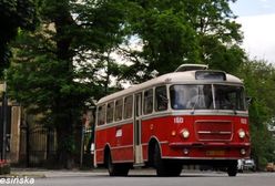 Zobacz Poznań z okien zabytkowego tramwaju i autobusu