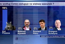 "Wiadomości" TVP pokazały sondę: kot prezesa zasługuje na większy szacunek niż Schetyna, Petru i Kijowski