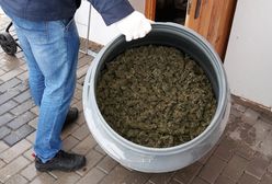 CBŚP zlikwidowało na Lubelszczyźnie profesjonalną uprawę haszyszu. Zabezpieczono też 42 kg marihuany