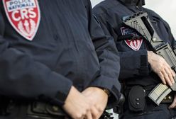 Człowiek pająk sądzony za kradzież pięciu obrazów, w tym Picassa