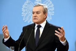 Wicepremier Gliński przeciw wycince drzew. Resort kultury: całkowita ochrona zieleni na terenach zabytkowych