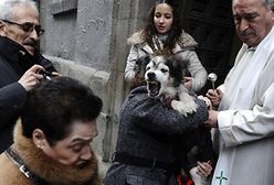 Święcenie zwierząt