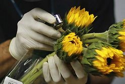 Nietypowa kontrola na lotnisku